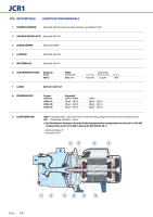 Pedrollo JET INOX Pumpe Selbstansaugend 4,8bar 3600l/ H Typ JCRm1A