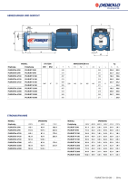 Pedrollo Kreiselpumpe Selbstansaugend 5,7bar 12000l/ H Typ PLURIJETm4/200x