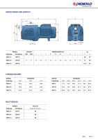 Hauswasserwerk Pedrollo JET Guss Pumpe Selbstansaugend 4,8bar 3600l/H Colebo KIT-02